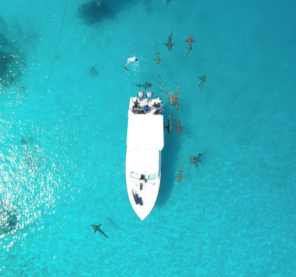 Ecoboo Maldives Hotel Thinadhoo  Bagian luar foto